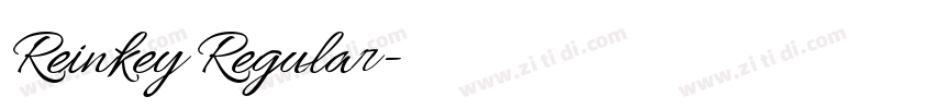 Reinkey Regular字体转换